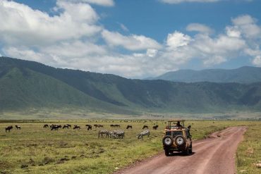 Safaris & Tours - Tanzania Safari Tours