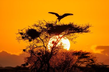 3645ae5a95b48bb0dc5a050e44ac34e8