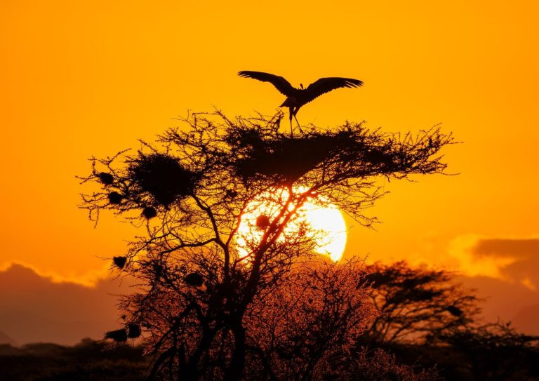 3645ae5a95b48bb0dc5a050e44ac34e8