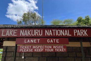 Safaris Pitia africa 𝐋𝐚𝐤𝐞 𝐍𝐚𝐤𝐮𝐫𝐮_