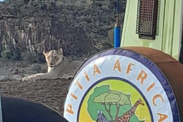 WhatsApp Image 2025-02-11 at 17.48.25_5a57d35e